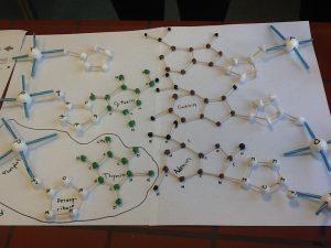 dna-modell-2