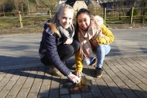 Stolpersteine