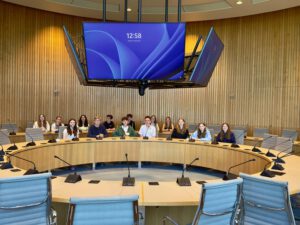 Landtag Sitzungssaal Kopie